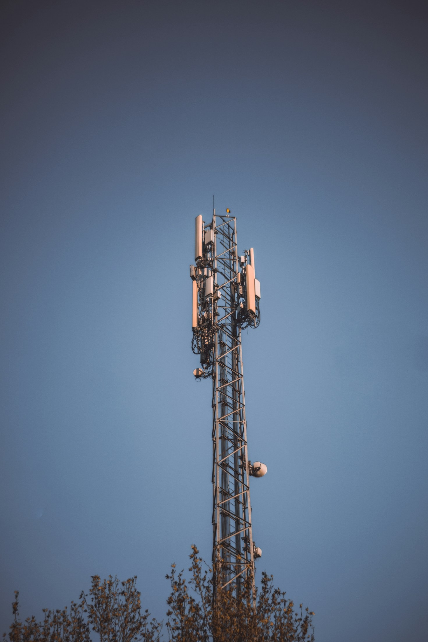 Why Reliable Internet Matters in Todayโs World